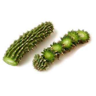 hoodia gordonia - composición Reduslim